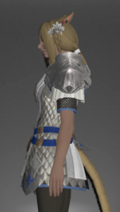 Gallant Surcoat left side.png