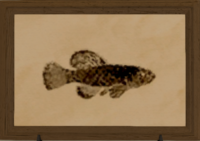 Grip Killifish print.png