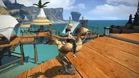 Company chocobo2.jpg