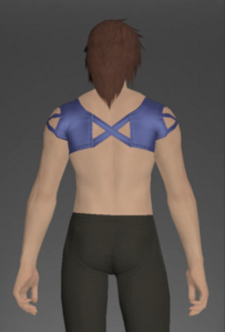 Blue Summer Top rear.png