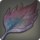 Fleshy leaf icon1.png