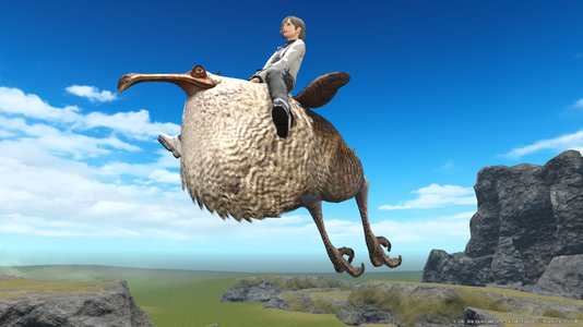 Dodo mount img1.png