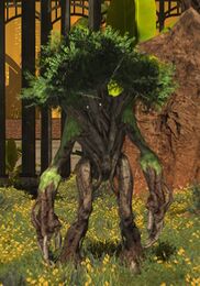 Walking Tree.jpg