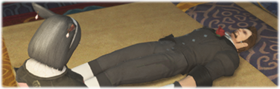 The Sleeping Gentleman.png