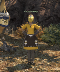 Chocobokeep The Golden Bazaar.png