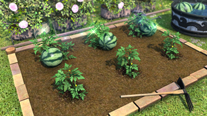 Allagan Melon Seeds1.png