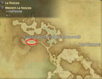 Sea Wasp Location.png