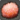 Cosmic sponge icon1.png