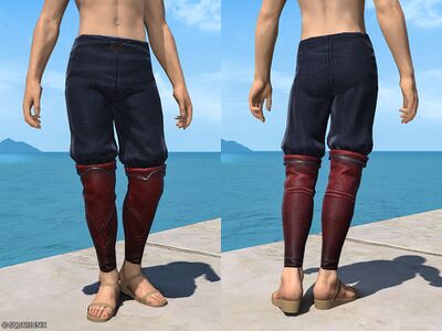 King of Leonis attire5.jpg