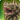 Morbol mount icon1.png