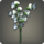 White sweet peas icon1.png