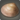 Island clam1.png