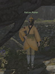 Falcon Porter Namai.png