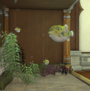 Lemonfish tank angle.png