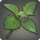 Mature galago mint icon1.png