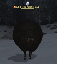 Mad Karakul Ewe.png