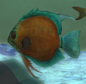 Paglth'an-Discus Aquarium.jpg