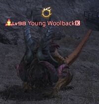 Young Woolback.jpg