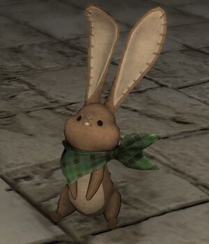 Unlucky rabbit1.jpg