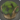 Wild liverwort icon1.png