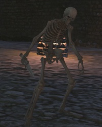 Magicked Bones.jpg