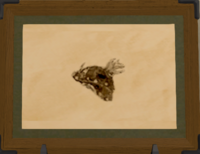 Antlion Slug print.png