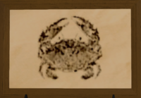 Pebble Crab print.png