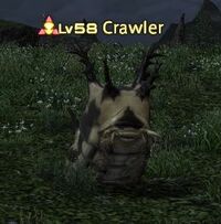 Crawler.jpg