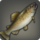 Warmwater trout icon1.png