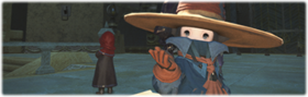 BLM ARR quest image1.png