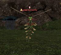 Damselfly.jpg