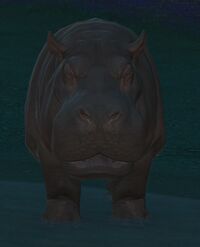 Wading Hippo.jpg