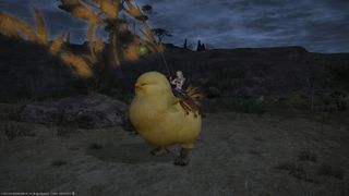 Fat chocobo11.jpg