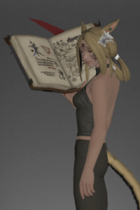 Lakeland Grimoire inside.png