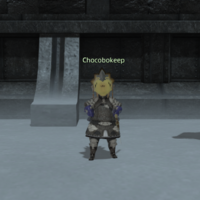 Chocobokeep Camp Broken Glass.png