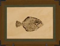 Kholusian Flounder print.png