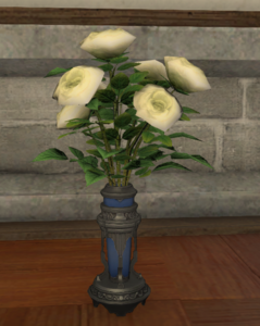 White Oldroses.png