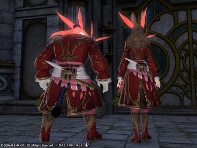 Ruby Carbuncle Attire img3.jpg