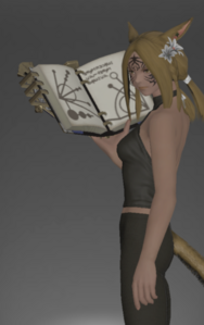 Dragonskin Grimoire inside.png