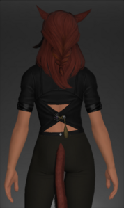 Martial Artist's Vest rear.png