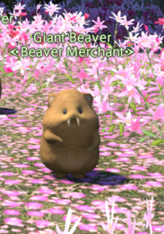 Beaver merchant.PNG