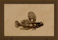 Mudskipper print.png