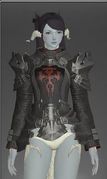 Darklight cuirass f.JPG