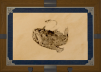 Amber Monkfish print.png