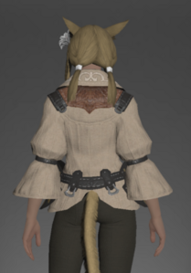 Linen Shirt rear.png