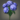 Deepstar blossom icon.png