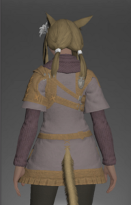 Rainmaker's Tunic rear.png