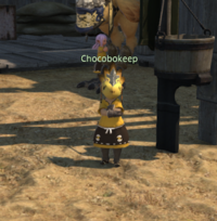 Chocobokeep Camp Drybone.png