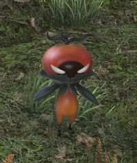 Stray-tomato.jpg