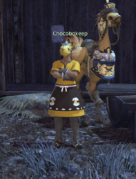 Chocobokeep Camp Bluefog.png